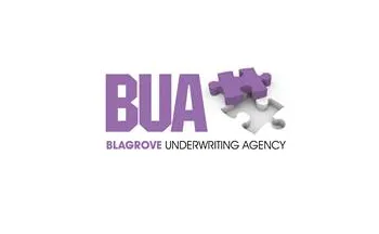 BUA